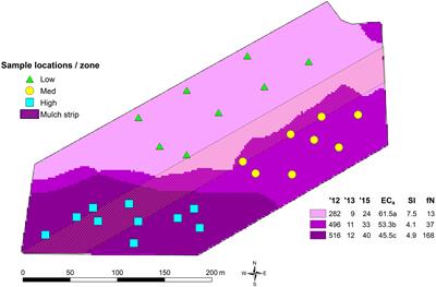 Vineyard Soil Microbiome Composition Related to Rotundone Concentration in Australian Cool Climate ‘Peppery’ Shiraz Grapes